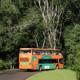 Visitantes nos ônibus panorâmicos das Cataratas do Iguaçu S.A.